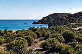 The famous palm beach at Vai, Eastern Crete